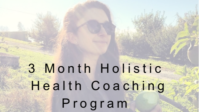 3 Month Holistic Health Coaching Program Banner