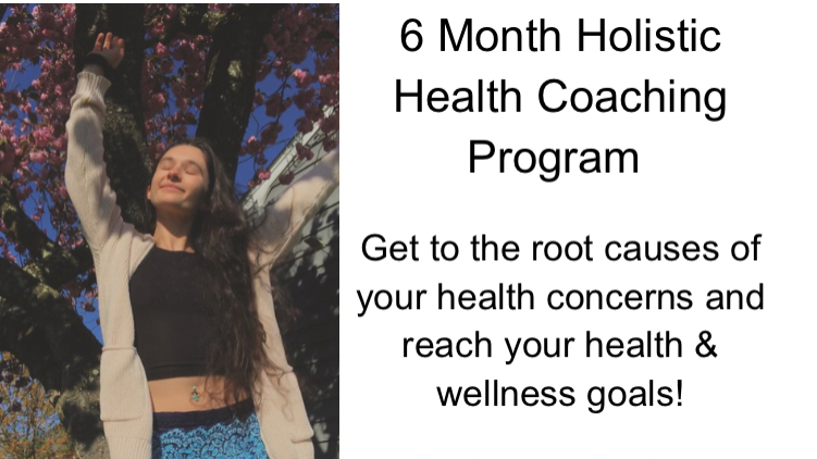 6 Month Holistic Health Coaching Program Banner