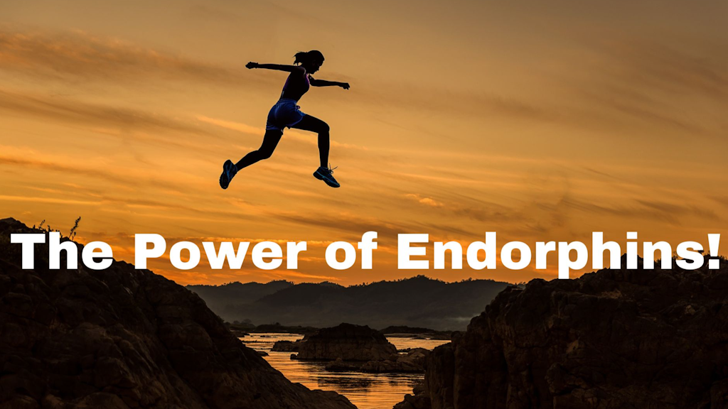 Why I love Endorphins! - How Working Out Boosts Your Mood and Wellbeing Banner
