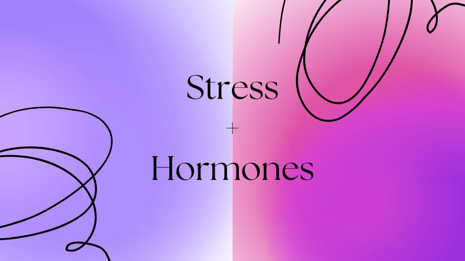 Stress and Hormones Banner