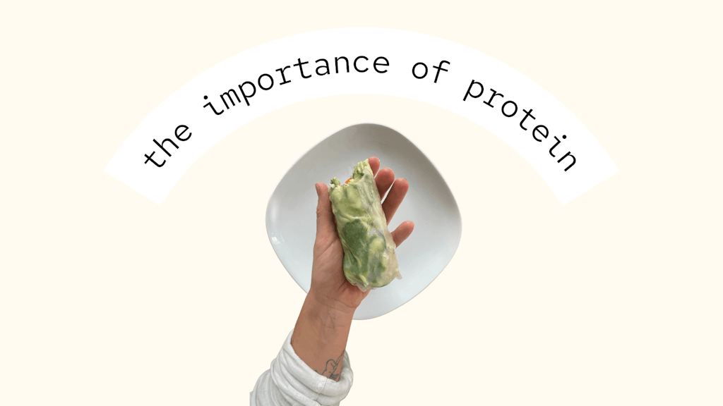 The Importance of Protein | Plant-Based Banner